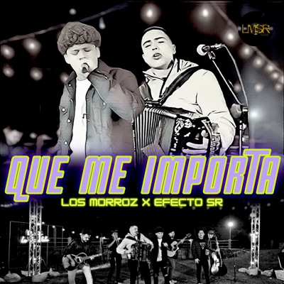 Que Me Importa (En Vivo) - Single