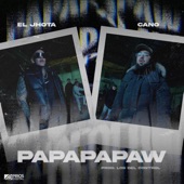 Papapapaw artwork