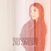 Zad zavesite