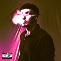 Dinheiro ao Redor do Mundo - Single - Brayinhu