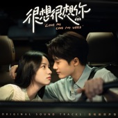 ZhaoXi (Episode from Movie and Television Drama "Love Me, Love My Voice") artwork