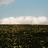 Helthy - Single