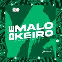 De Malokeiro (feat. Mc Magrinho) - Single - DJ VM & Mc 12
