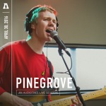 Pinegrove & Audiotree - Angelina