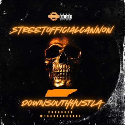 DownSouthHustla - Single