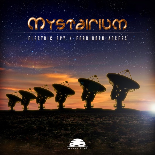 Electric Spy / Forbidden Access - Single