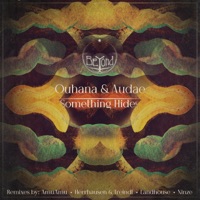 Something Hides (Landhouse Remix) - Single - Landhouse