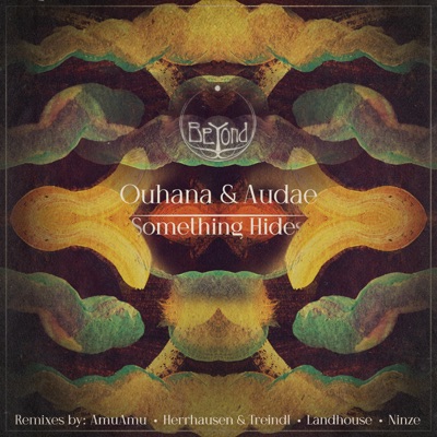 Something Hides (Landhouse Remix) - Single