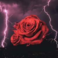 ROSE - Single - pivargo & FLX