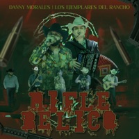 Rifle Bélico (En Vivo) - Single - Danny Morales & Los Ejemplares del Rancho
