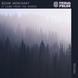 It Came From the Woods - Single