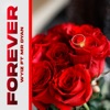 Forever (feat. MR DYAN) - Single