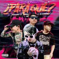 ¿PARA QUE? (feat. Maniako, Daniel MV & El Chamako) - Single - lulu el fantastico