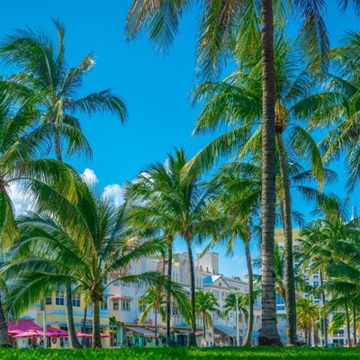 Take Me Back To the Summer (feat. Porkidd) - Single