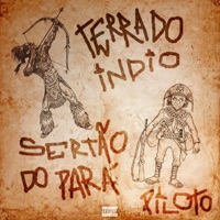 Terra do Índio Sertão do Para - Single - DJ Denilson o clínico & Piloto do chapa
