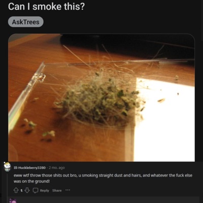 Just a Phase (feat. Nooneisthereforme) - Single