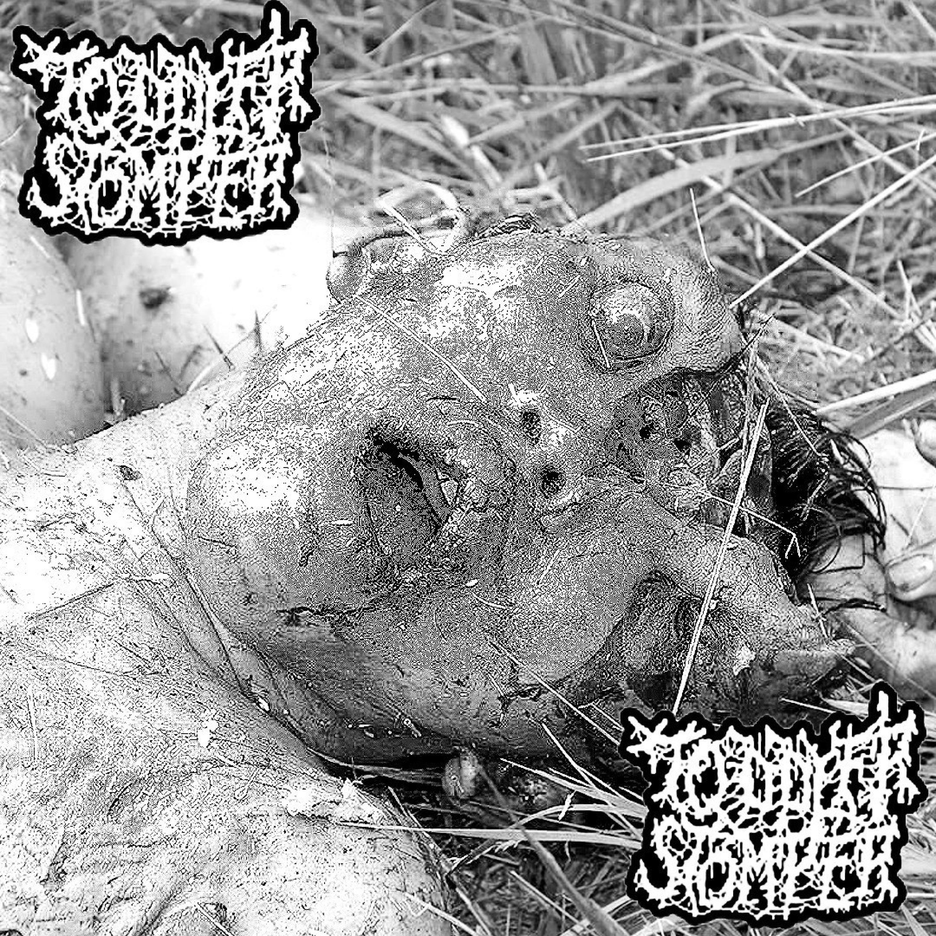 Toddler Stomper - Single