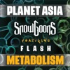 Metabolism (feat. Flash) - Single