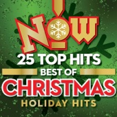 Burl Ives - A Holly Jolly Christmas - Single Version