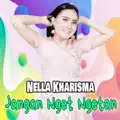 Jangan Nget Ngetan