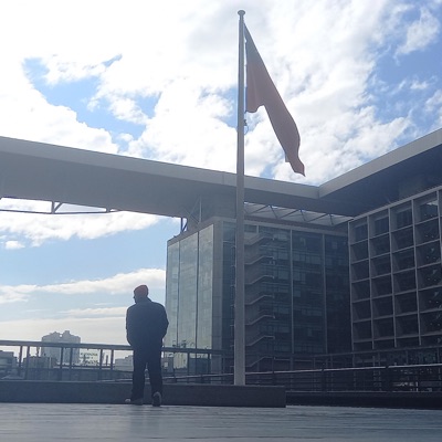 Delincuente - Single