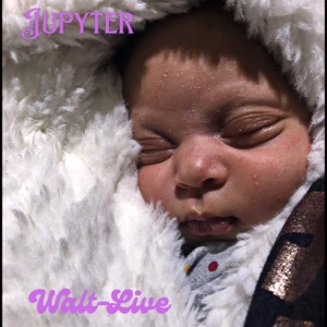 Jupyter