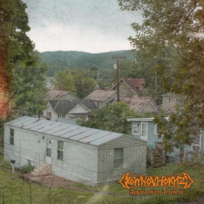 Appalachian Aesthetic