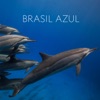 Brasil Azul (Trilha Sonora Original do Filme)