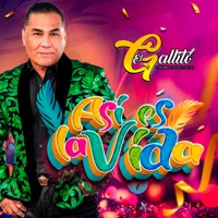 Así Es La Vida - Single - El Gallito Y Los Originales De La Banda