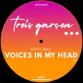 Voices In My Head