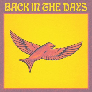 Back in the Days (Melodiesinfonie Remix)