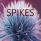 Spikes - Human Wave lyrics