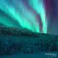 Epiphany