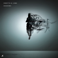 Shadows (feat. Luma) - Single - VNDETTA