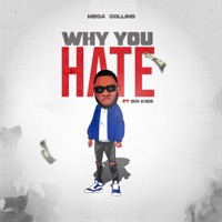 Why You Hate (feat. boi kiss) - Single - Mega Collins