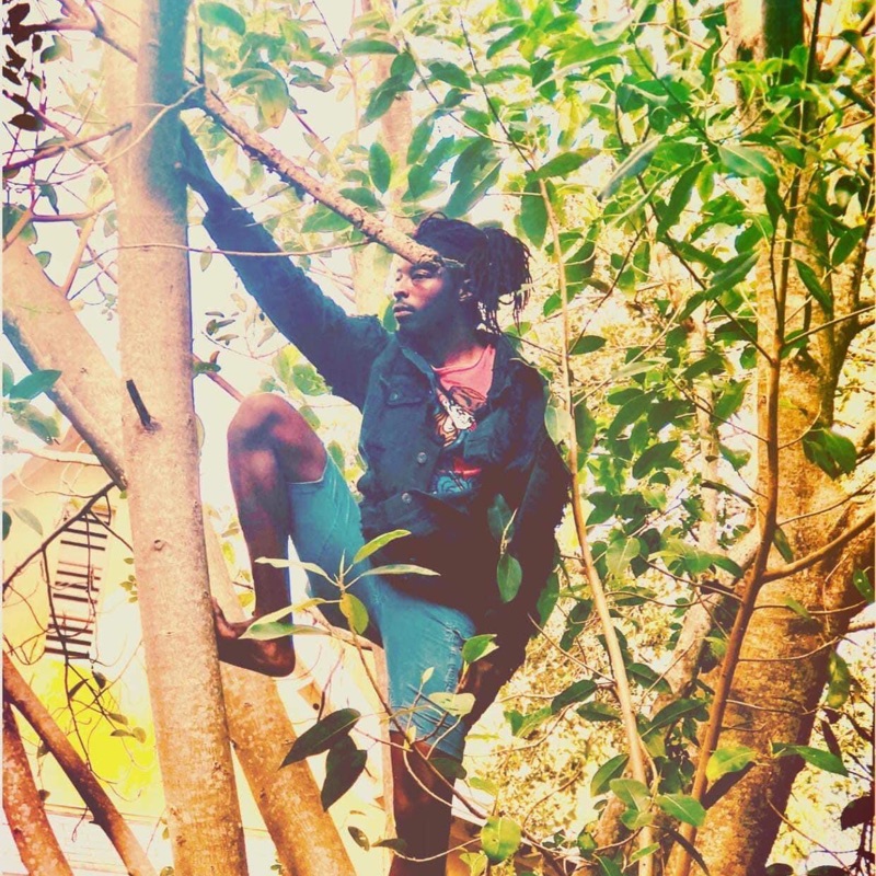 Tazmaniac - Prima 2020