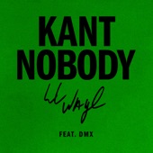 Kant Nobody (feat. DMX) artwork