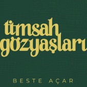 Timsah Gözyaşları artwork