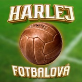 Fotbalová artwork