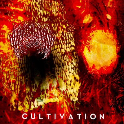 Cultivation - EP