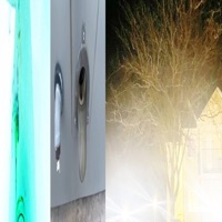 Torture Fest - Single - David Shawty