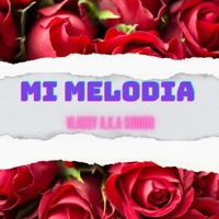 Mi Melodía (feat. Bpaul & Rouse) - Single - Vlassy