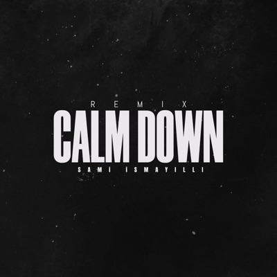 Calm Down (Remix) - Single