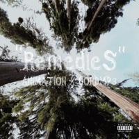 Remedies - Single - gordmp3 & Animation