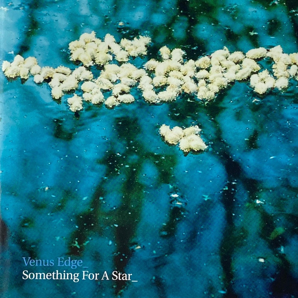 Обложка альбома «Something For a Star (feat. Julia Doyle, Paul Dufour & Mark Hadley)» — Anthony Donovan