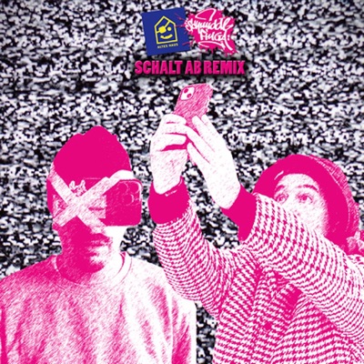 Schalt ab (Altes Haus Remix) - Single