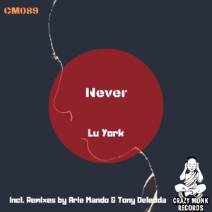 Never - Single