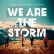 We Are the Storm artwork