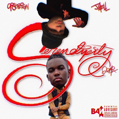 Serendipity! (feat. JMeLL) [Remix] - Single