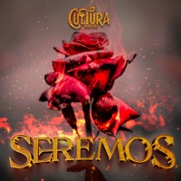 Seremos - Single - La Cultura Norteña